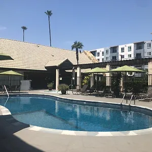 Hotel Mikado